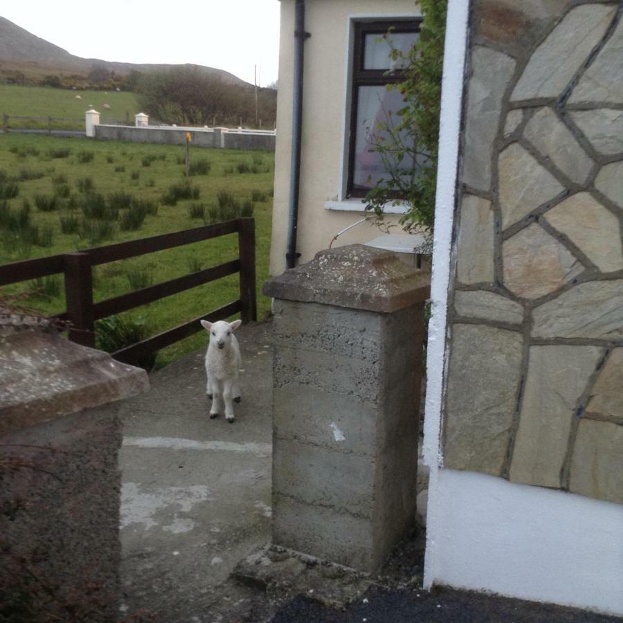 Sea View Chalet Kilsallagh Westport Co Mayo Kültér fotó